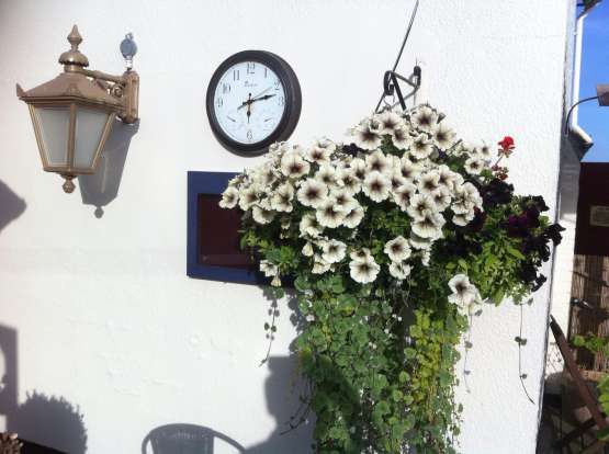 The Westerfield Railway - Decking Area