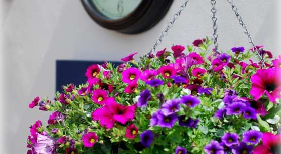 Westerfield Railway Beer Garden