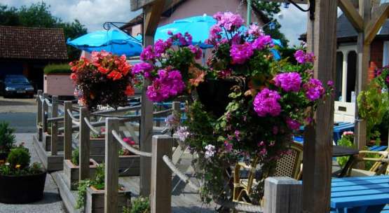 Westerfield Railway Pub gardens